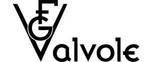 FG Valvole